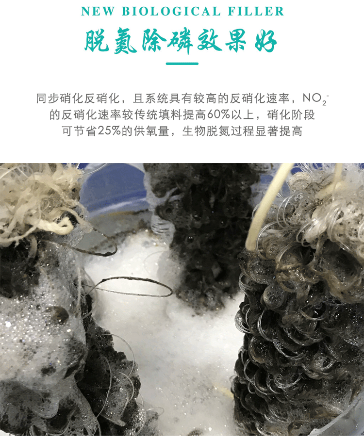 污水生物填料